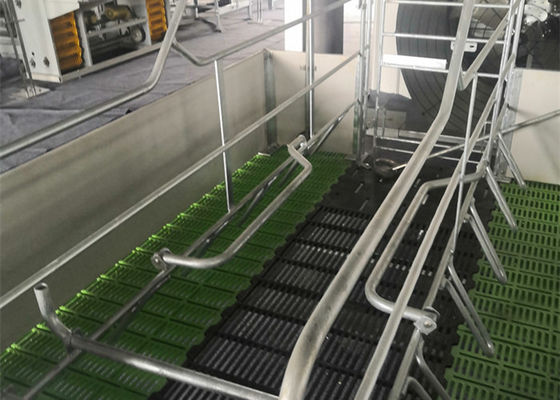 calidad  Fabricated Prefab Steel Structure Pig House Galvanised Industrial fábrica