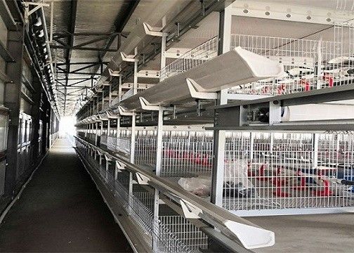 Casa de pollo prefabricada de la capa de las aves de corral de la granja de la estructura de acero del OEM/del ODM