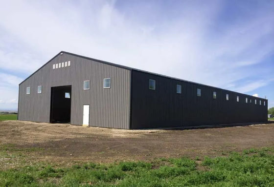 Estructura del marco de acero del indicador de la luz de la fabricación de Warehouse de la estructura de acero