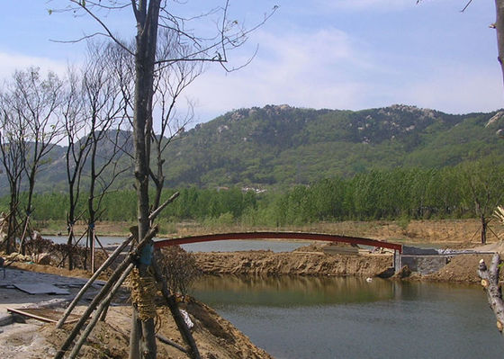 La construcción de puente de la estructura de acero de Q355B galvanizó prefabricado
