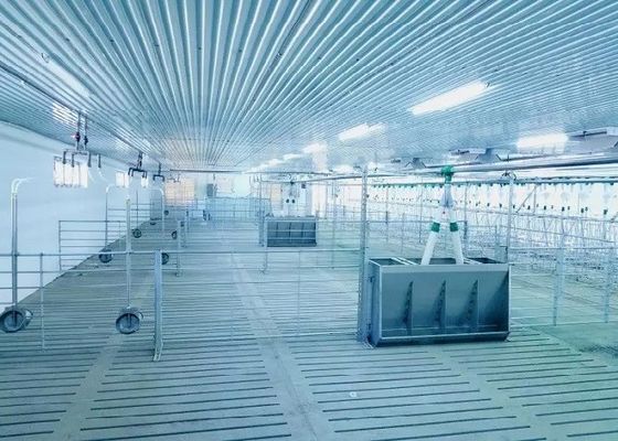 El portal a prueba de viento de la casa de cerdo de la estructura de acero prefabricó el marco de acero ISO9001
