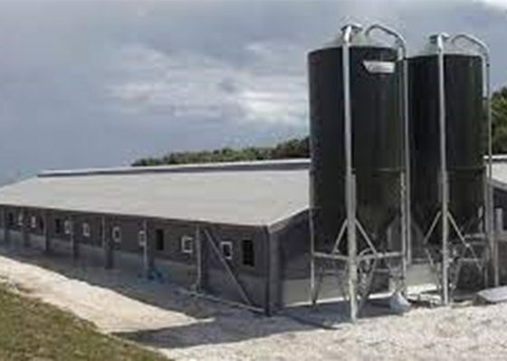 Casa de cerdo a prueba de viento del marco de la construcción porta de acero prefabricada de la estructura