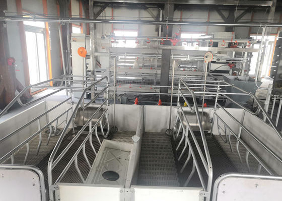 Casa de cerdo a prueba de viento del marco de la construcción porta de acero prefabricada de la estructura