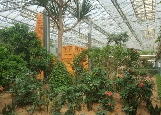 Invernadero de cristal moderado del jardín de la planta verde para las flores ornamentales grandes