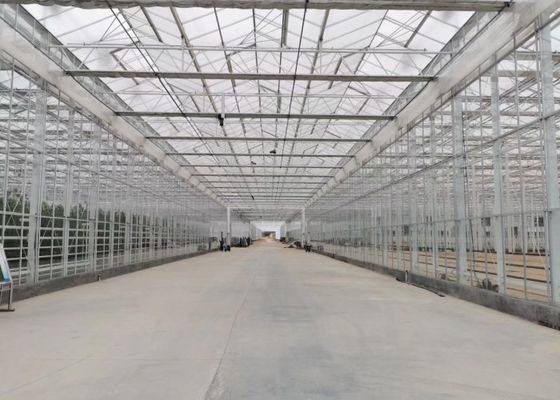 Invernadero de cristal moderado del jardín de la planta verde para las flores ornamentales grandes