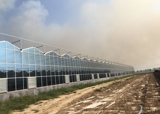 Invernadero de cristal moderado del jardín de la planta verde para las flores ornamentales grandes