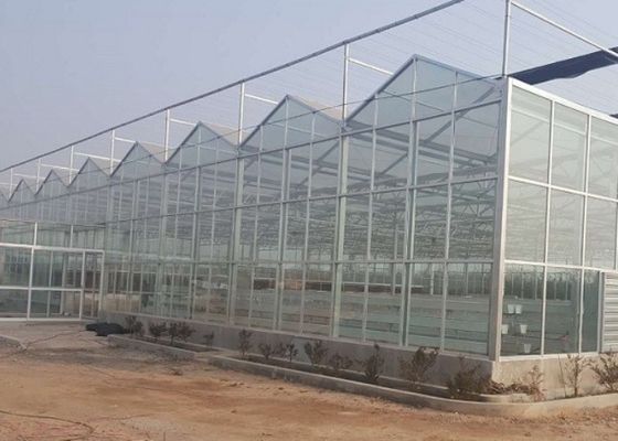 Comercial de cubierta de vidrio de invernadero de tubería galvanizada de alto grado
