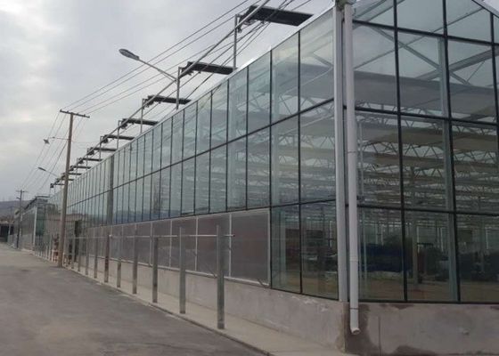 Comercial de cubierta de vidrio de invernadero de tubería galvanizada de alto grado