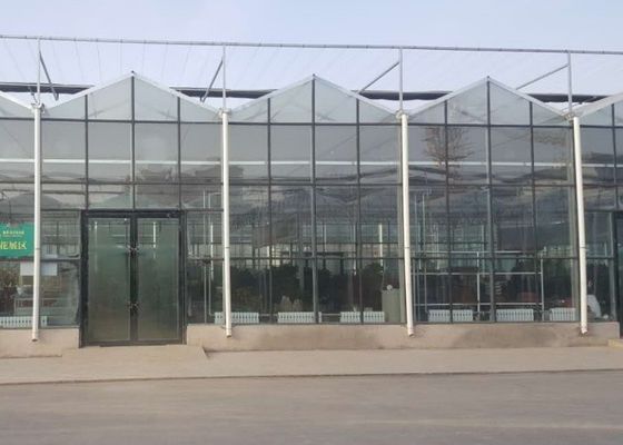 Anuncio publicitario galvanizado invernadero de cristal del tubo de Venlo del alto grado
