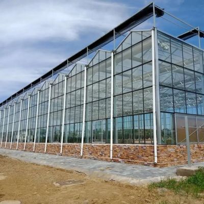 Establecimiento de múltiples capas del cultivo del invernadero de cristal Soilless vegetal de la cultura