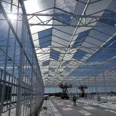 Establecimiento de múltiples capas del cultivo del invernadero de cristal Soilless vegetal de la cultura