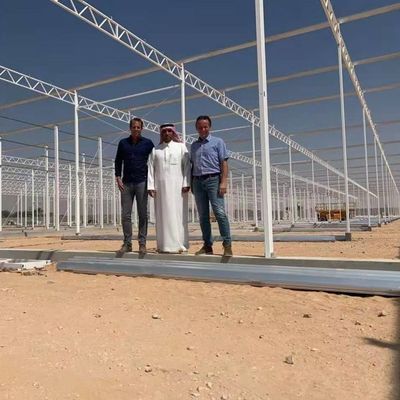 Establecimiento de múltiples capas del cultivo del invernadero de cristal Soilless vegetal de la cultura