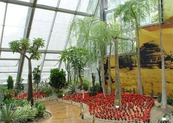 Jardín de invierno Habitación con luz solar Invernadero de vidrio Venlo de acero pequeño Relajado