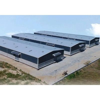 Taller del marco de acero que construye la construcción estructural de Warehouse