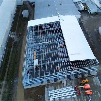 Q355/ Q235 Taller de estructura de acero con sección C / sección Z de acero