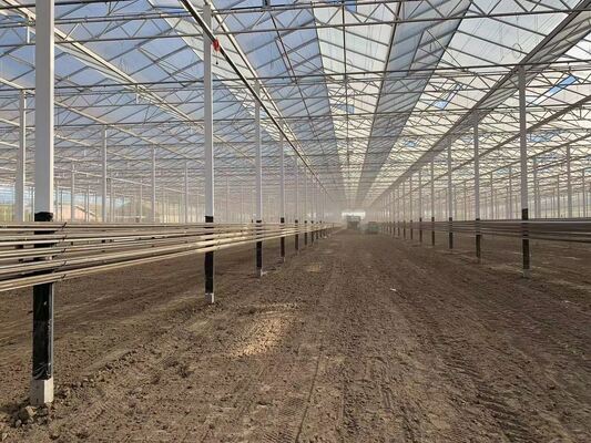 Invernadero de vidrio para turismo Wenluo - Invernadero de cultivo de vegetales a gran escala