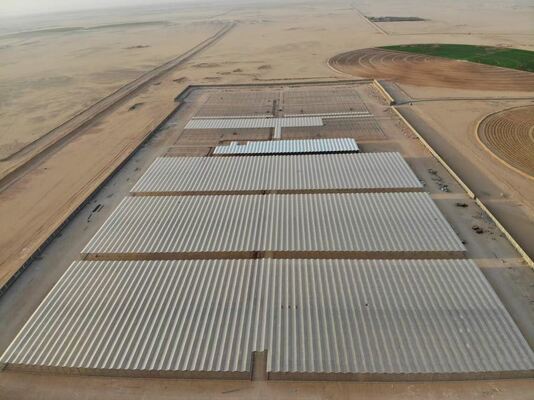 Uso para plantación agrícola, invernadero de vidrio panorámico Wannuo