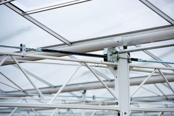 Uso para plantación agrícola, invernadero de vidrio panorámico Wannuo