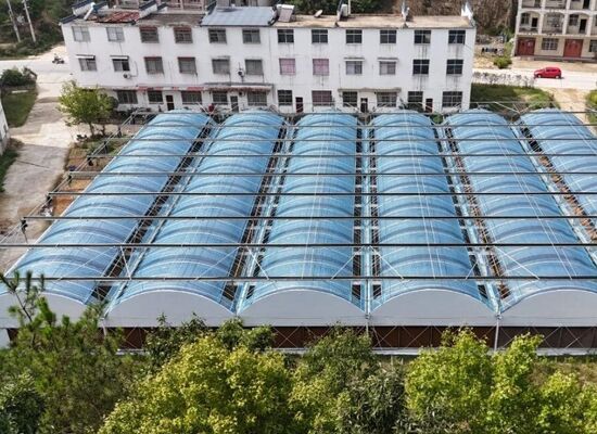 Invernadero de película de polietileno de envergadura continua utilizado para aumentar el rendimiento de los vegetales y acelerar el proceso de maduración de los vegetales