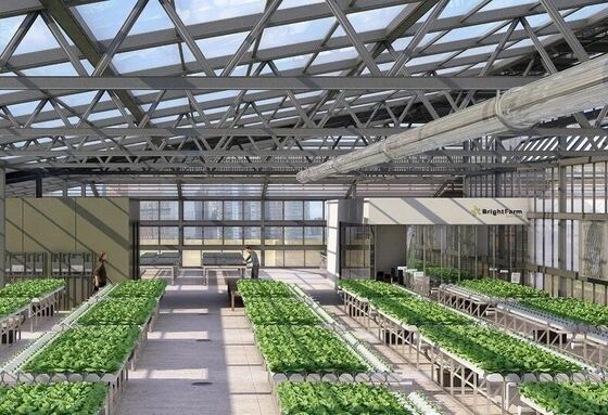 Invernadero de vidrio turístico de Wenlu - Invernadero para la plantación de frutas a gran escala