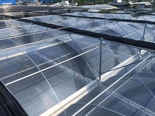 Invernadero de vidrio turístico de Wenlu - Invernadero para la plantación de frutas a gran escala