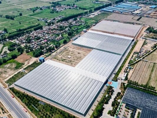 Invernadero para el cultivo de frutas, gran invernadero de vidrio para turismo Woonloos