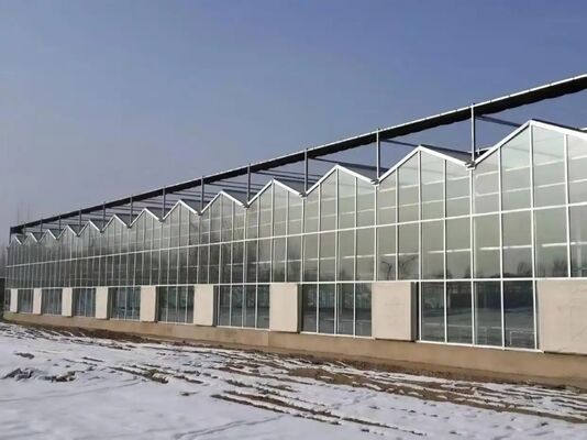 Invernadero para el cultivo de frutas, gran invernadero de vidrio para turismo Woonloos